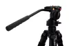 Celestron #82052 Regal Premium Tripod
