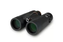 Celestron #71391 Regal ED 10x42 Roof Prism Bino